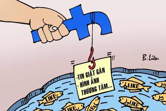 'Mồi' câu like