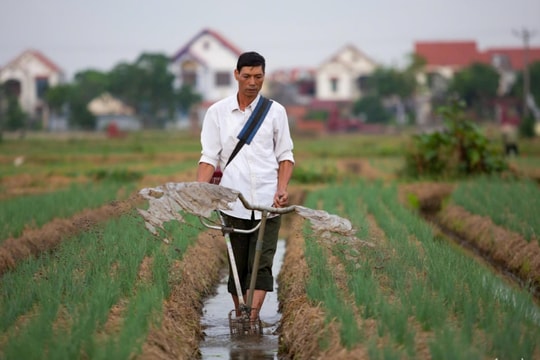 Một Bí thư chi bộ tiêu biểu ở Nam Sách từng là thợ đúc xoong nồi dạo