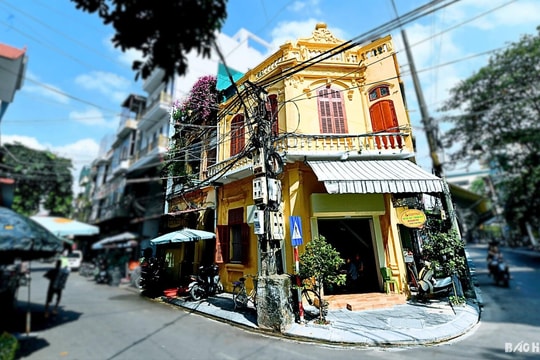 Thành Đông ta đó