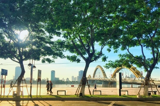 Những con đường đẹp nhất Đà Nẵng
