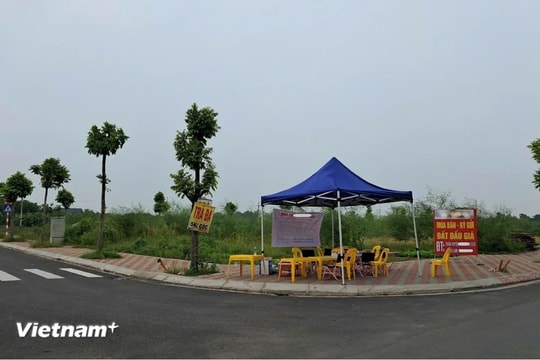 Nhiều lô đất đấu giá chưa nộp tiền, có dấu hiệu bỏ cọc