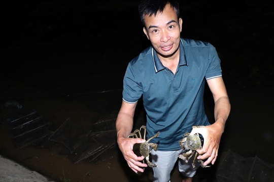Thăm trang trại nuôi cà ra lớn nhất Hải Dương