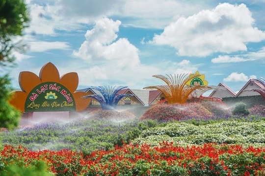 Top 3 làng hoa không nên bỏ qua khi đến Đà Lạt