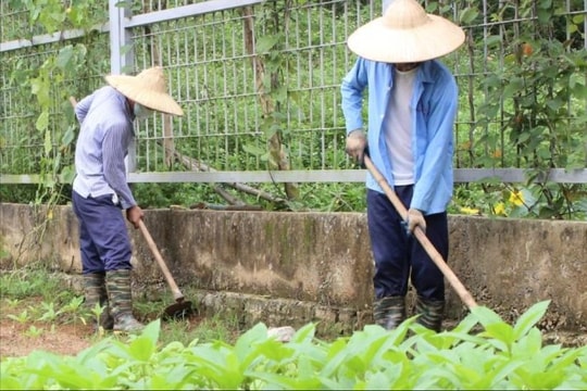 Điểm tựa cho người cai nghiện ma túy tự nguyện