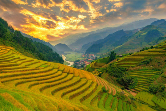Sắc vàng ruộng bậc thang Khun Há