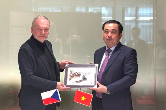 Hai Duong ready to welcome investment projects from Czech Republic
