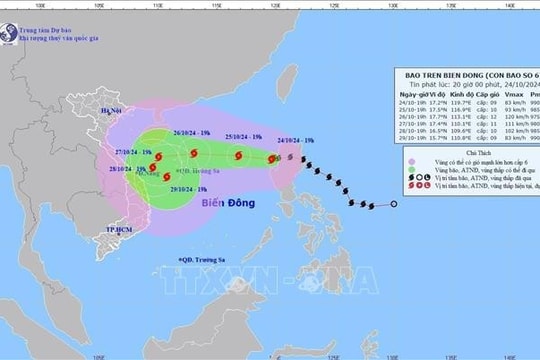 Urgent response urged as Typhoon Trami looming