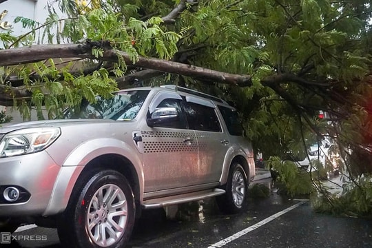 Cây đổ, đường ngập khi bão số 6 đổ bộ miền Trung