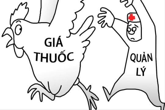 Không quản lý giá thuốc kiểu 'thả gà ra đuổi'