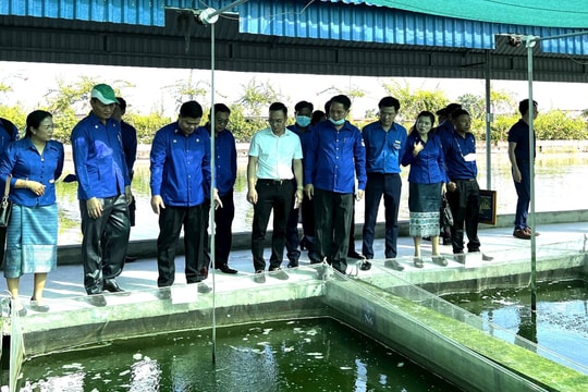 Hải Dương - Viêng Chăn đẩy mạnh hợp tác trong lĩnh vực văn hóa
