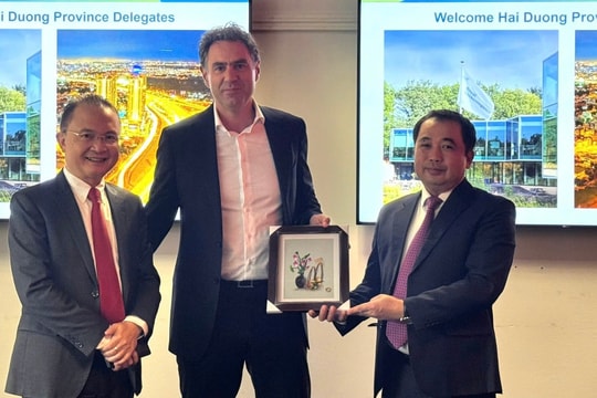 Hai Duong wishes for Netherlands’ non-refundable aid to build more wastewater treatment systems
