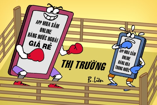 Ứng dụng mua sắm ngoại đe dọa hàng nội