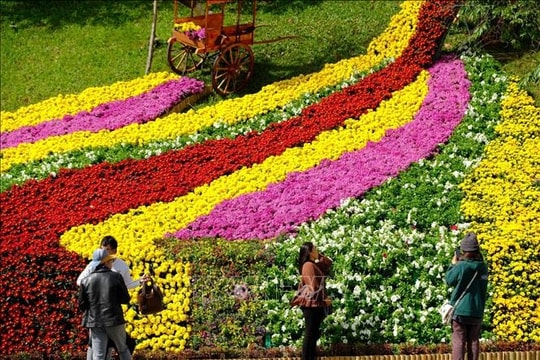 Festival hoa Đà Lạt sẽ diễn ra trong 1 tháng, hướng tới quy mô quốc gia và quốc tế
