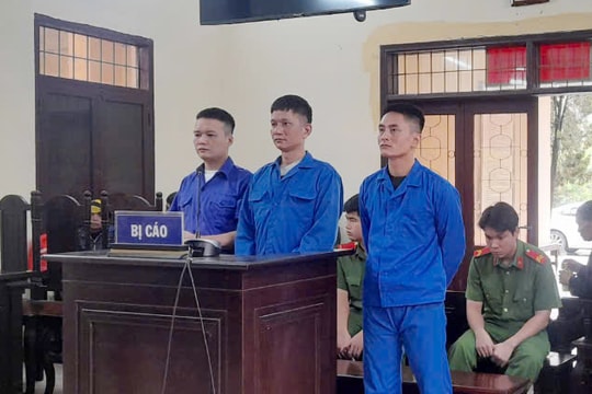 Tổ chức sử dụng ma túy, 3 đối tượng ở Ninh Giang bị phạt tổng số 25 năm tù