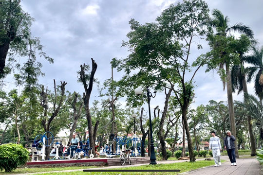 Sau bão dập vùi, công viên ở Hải Dương hồi xanh