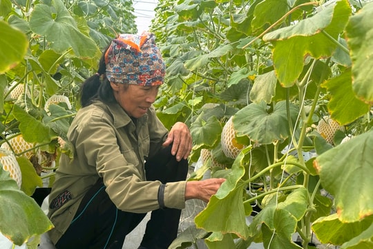 Bà Nguyễn Thị Đoàn ở Phạm Trấn (Gia Lộc) chưa có đơn đề nghị xét duyệt là hộ nghèo