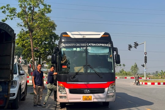 Xe ô tô đỗ, dừng gần ngã tư đường tỉnh 393 giao với đại lộ Võ Nguyên Giáp