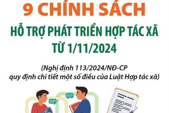 9 chính sách hỗ trợ phát triển hợp tác xã từ tháng 11