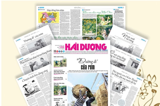 Tìm đọc báo Hải Dương cuối tuần