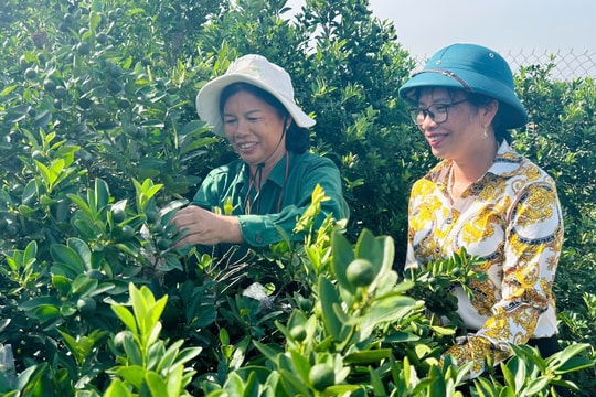 Sẻ chia khốn khó, đắp bồi yêu thương