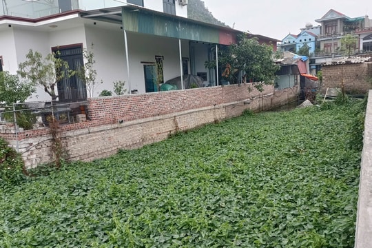 Kênh dẫn trạm bơm Đèo Gai (Kinh Môn) khó tiêu thoát nước