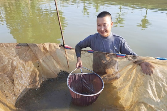 Anh Lê Văn Thương khởi nghiệp thành công với mô hình ương dưỡng cá giống