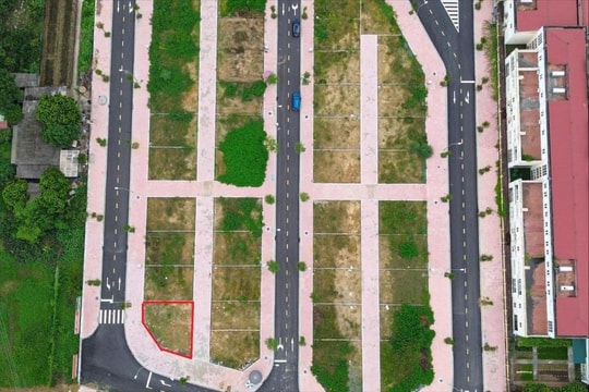 Huyện Hoài Đức đấu giá 20 lô đất, giá khởi điểm 7,3 triệu đồng một m2
