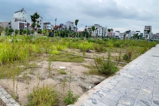 Đất nền Đông Anh, Hà Nội lại nóng bỏng tay, 2 tỷ đồng không mua nổi