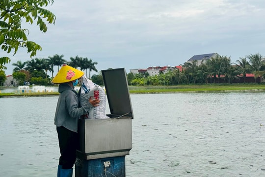 Đưa 5 dự án của Tứ Kỳ ra khỏi đề án nông nghiệp hàng hóa tập trung
