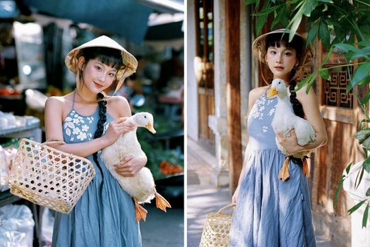Nở rộ trào lưu nuôi vịt làm thú cưng
