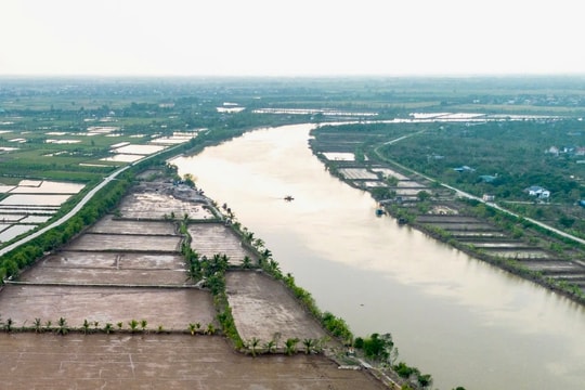 Một số tuyến sông ở Tứ Kỳ, Thanh Hà bị xâm nhập mặn sớm hơn năm ngoái khoảng 1 tháng