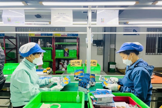 Tìm giải pháp tăng trưởng xanh, phát triển bền vững