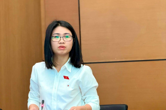 Kẽ hở pháp luật là ‘mảnh đất màu mỡ’ cho tội phạm ma túy