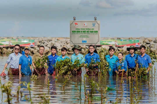 32 dự án vào vòng chung khảo Giải thưởng Hành động vì cộng đồng 2024