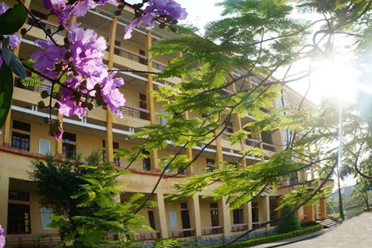Bài học đầu tiên