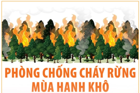 Chủ động phòng chống cháy rừng mùa hanh khô