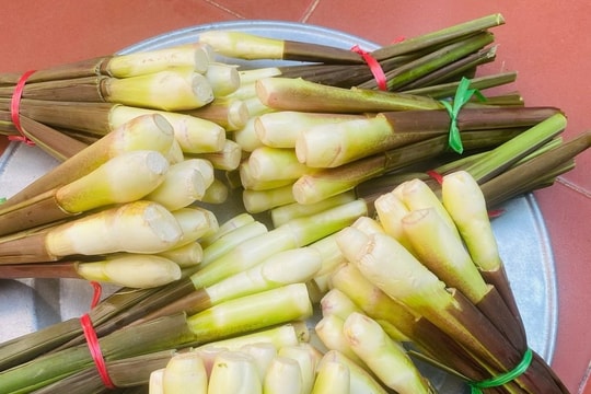 Củ niễng - món ngon đặc sản của Nam Định