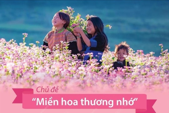 Lễ hội hoa tam giác mạch ‘miền hoa thương nhớ’