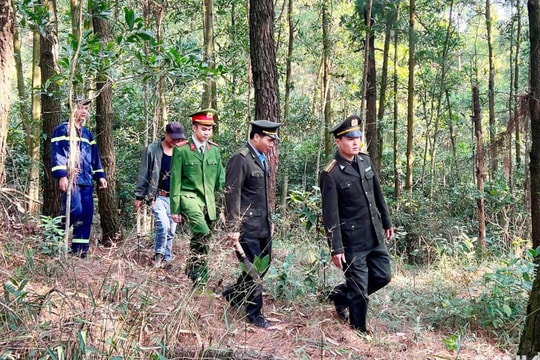 Nắng hanh kéo dài, đề phòng cháy rừng ở Kinh Môn, Chí Linh