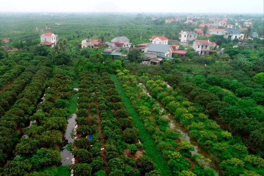 Thanh Hà trồng cây ăn quả gắn với du lịch