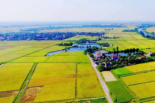 Hải Dương quy định thế nào về các trường hợp không được tách thửa đất, hợp thửa đất?