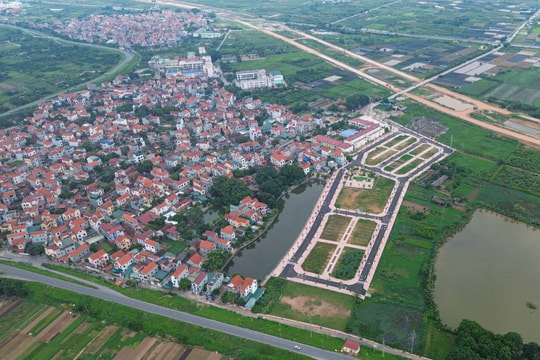 Đấu giá tiếp 32 lô đất ở Hoài Đức, giá dự đoán vượt 100 triệu đồng mỗi m2