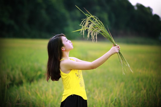 Mùa khói xanh vắt ngang phía cánh đồng
