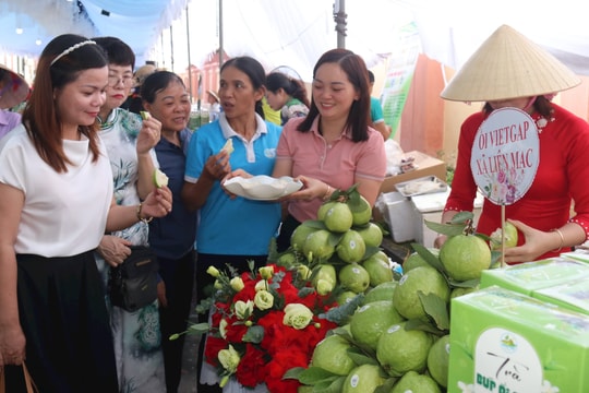 Hội Mỹ nghệ kim hoàn Hải Dương kết nối tiêu thụ nông sản ở nông thôn