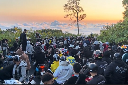 Vườn quốc gia Ba Vì đông 'nghẹt thở', khách chen chân săn mây, ngắm hoa dã quỳ