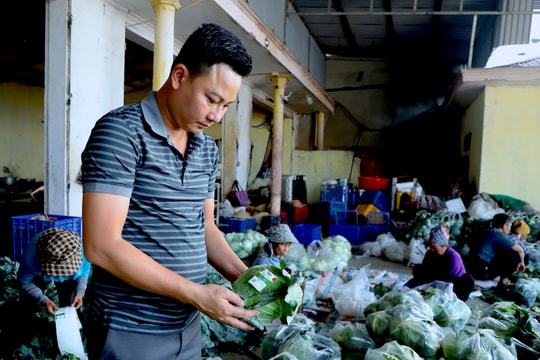 Thất bại ở 'xứ sở sương mù' về quê thành trùm buôn nông sản