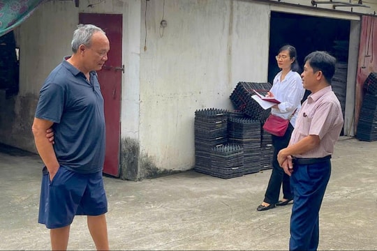 5 phường ở TP Hải Dương không được phép chăn nuôi