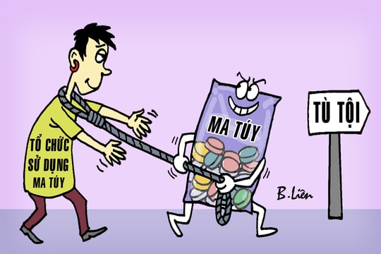 Vào tù vì ma túy