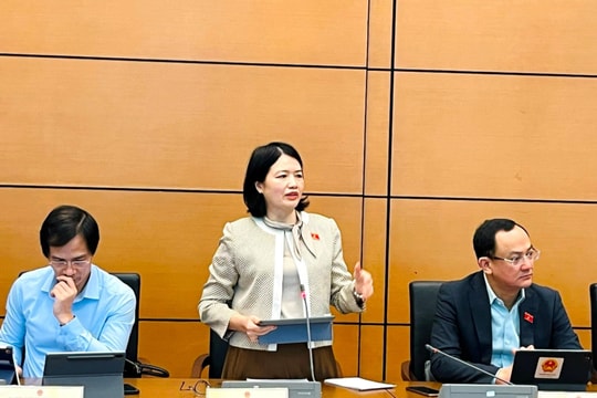 Đại biểu Quốc hội tỉnh Hải Dương: Cân nhắc thật kỹ việc tăng thuế tiêu thụ đặc biệt