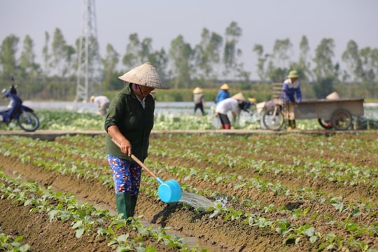 Lý do đã đón nhiều đợt không khí lạnh nhưng miền Bắc, trong đó có Hải Dương vẫn nóng